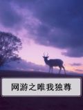 网游之唯我独尊 聚合中文网