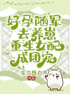 好孕随军去养崽,重生女配成团宠季云舒