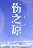 伤之原 心之音y