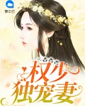 权少的独家宠免费阅读