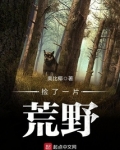捡了一片荒野全文免费阅读