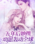 五年后她携子归来全文阅读双胞胎