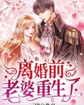 一胎二宝:离婚前,老婆重生了
