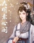 大明素心阁
