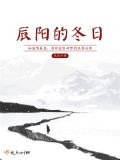 辰阳的冬日