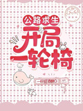 公路求生开局一轮椅txt